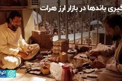 درگیری باندها در بازار ارز هرات