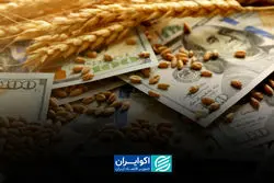 الزام ایران به خرید کالا و گندم آمریکایی در تفاهم‌نامه آمده است؟