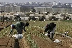 جروزالم‌پست: پیشنهاد ایران برای آزادی گروگان‌های تایلندی در اسرائیل