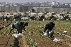 جروزالم‌پست: پیشنهاد ایران برای آزادی گروگان‌های تایلندی در اسرائیل