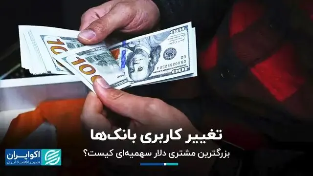 تغییر کاربری بانک‌ها؛ بزرگترین مشتری دلار سهمیه‌ای کیست؟