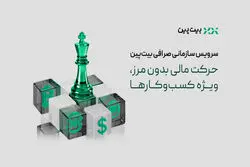 تحول در خدمات مالی به کسب‌وکارها با سرویس سازمانی بیت‌پین
