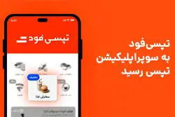 تپسی‌فود برای تهرانی‌ها در سوپراپلیکیشن تپسی فعال شد