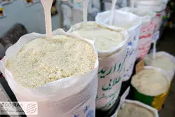 دبیر ستاد هماهنگی امنیت غذایی: برنج ۲۰۰ هزار تومانی نداریم