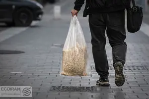 قیمت جدید نان اعلام شد + جزئیات