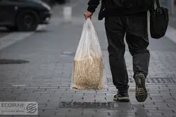 توضیحات رئیس اتاق اصناف تهران  از افزایش قیمت نان/ قیمت جدید اعلام شد