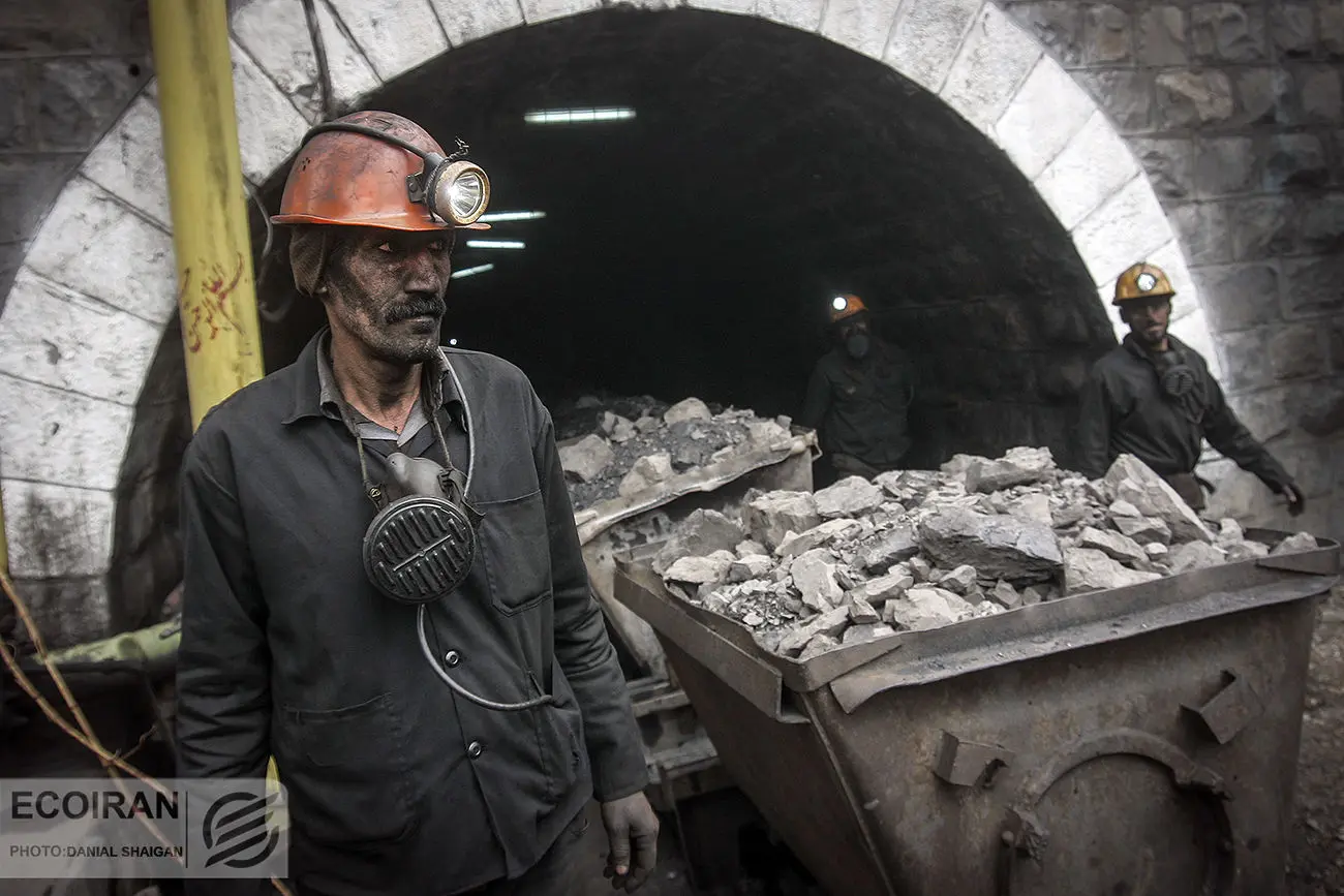 صادرات زغال سنگ آزاد شد/ ورود پول حقیقی، زغال سنگی‌های بورس را سبز پوش کرد