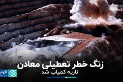  زنگ خطر تعطیلی معادن/ ناریه کمیاب شد