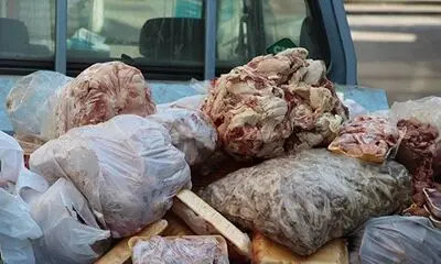 یک محموله گوشت فاسد برگشت داده شد