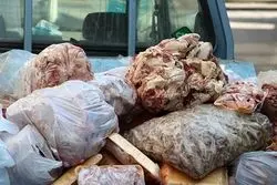 یک محموله گوشت فاسد برگشت داده شد