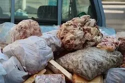 یک محموله گوشت فاسد برگشت داده شد