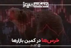 خرس‌ها در کمین بازارها
