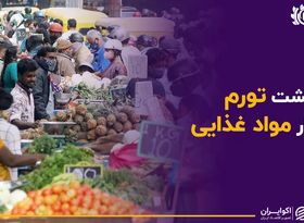 تحلیل بازار گاز و اوره و تاثیر بر شاخص مواد غذایی