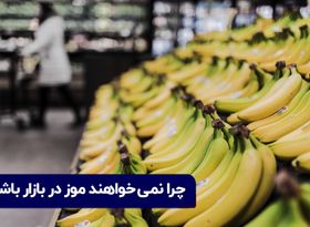 ماجرای افزایش قیمت موز در بازار