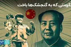 حکومتی که به گنجشک‌ها باخت