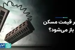 فنر قیمت مسکن باز می شود؟