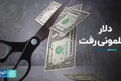 دلار سلمونی رفت