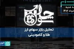 کنایه رئیس سازمان بورس به دولتی‌ها