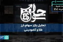 کنایه رئیس سازمان بورس به دولتی‌ها
