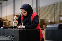 فصل زمستان و سرمای بازار کار زنان