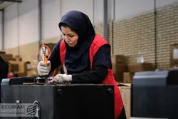 فصل زمستان و سرمای بازار کار زنان