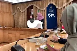 مهاجرانی در واکنش به اظهارات ویتکاف: وقتی به ایران حمله شد دقیقا در موقعیت مذاکره بودیم/ ایران خواهان صلح است