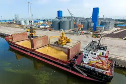 دلایل  مشکل تخصیص ارز کالاهای اساسی معلوم شد 