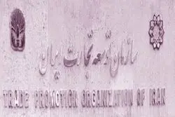 سازمانی که 33 روز بدون رییس است