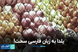 نام اختصاری یلدا؛ ترویج فرهنگ میهمانی و پیوند با خویشان 