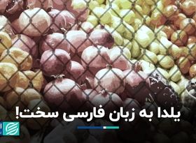 نام اختصاری یلدا؛ ترویج فرهنگ میهمانی و پیوند با خویشان 