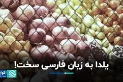نام اختصاری یلدا؛ ترویج فرهنگ میهمانی و پیوند با خویشان 