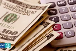 همه می‌خواستند با ارز یارانه‌ای واردکننده شوند
