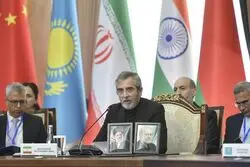 دو قاب عکس معنادار روی میز باقری کنی در یک جلسه دیپلماتیک/ حمله به ناو دنا نه فراموش می‌شود و نه بی‌پاسخ می‌ماند/ جنگ با ایران حمله به جنوب جهان است
