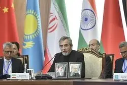 دو قاب عکس معنادار روی میز باقری کنی در یک جلسه دیپلماتیک/ حمله به ناو دنا نه فراموش می‌شود و نه بی‌پاسخ می‌ماند/ جنگ با ایران حمله به جنوب جهان است