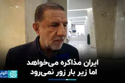 کوثری: مذاکره می کنیم اما آمریکا حتی قسم هم بخورد، قابل اعتماد نیست