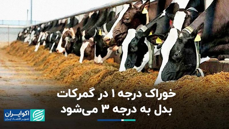 خوراک درجه 1 در گمرکات بدل به درجه 3 می‌شود