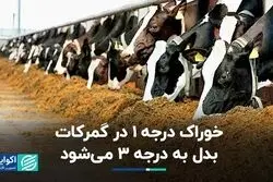 خوراک درجه 1 در گمرکات بدل به درجه 3 می‌شود