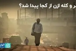 آلاینده ازن با سلامت چه می‌کند؟ 
