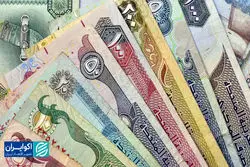 حباب درهم چاق شد