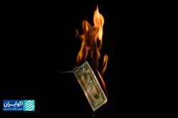 کف بازار | تب دلار خوابید؟  