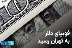 فوبیای دلار به تهران رسید
