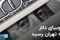 فوبیای دلار به تهران رسید