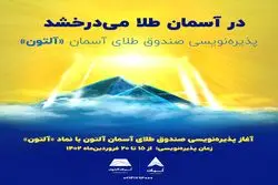 پذیره نویسی جدید/ «آلتون» به بازار می‌آید