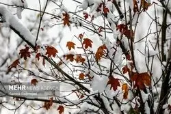 هشدار زرد هواشناسی برای تهران؛ بارش‌ها تا ۴ آبان ادامه دارد