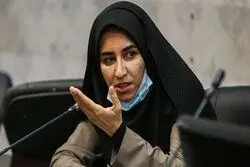 نماینده زن مجلس: قانون مهریه برای پرت کردن حواس مردم است/ رفتار ما در مجلس نباید راه هوس‌بازی مردان متمکن را باز کند و زنان را بی‌پناه بگذارد