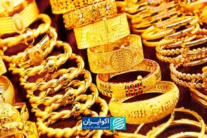 هر ایرانی ۵.۵ تن طلا دارد؟ ادعای عجیب کارشناس صداوسیما