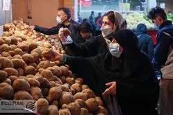 چرخش سیب زمینی به سمت گرانی