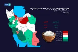 کدام استان کمترین مصرف برنج را در سال 1403 داشته است؟/بوشهر در صدر مصرف برنج در سال 1403