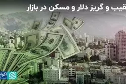 تعقیب و‌ گریز دلار و‌ مسکن‌ در بازار