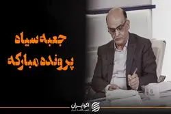 جعبه سیاه پرونده مبارکه